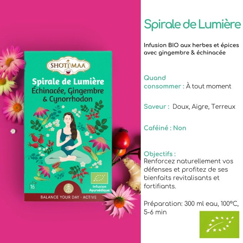Biologische spiraal van lichte kruidenthee - Harmonieuze revitaliserende infusies van gember en rozenbottel - Cafeïnevrije thee - Hoogwaardige ingrediënten