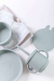 Conjunto Prato Silicone Com Ventosa Verde