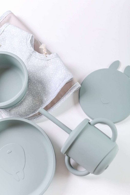 Conjunto Prato Silicone Com Ventosa Verde