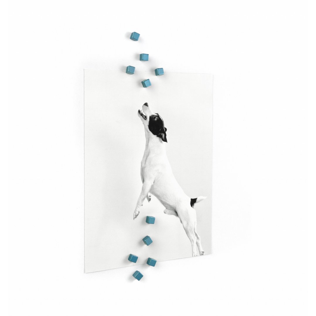 Trendform Magneten Kubiq - Set van 10