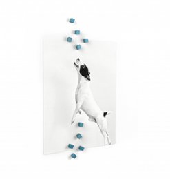 Trendform Magneten Kubiq - Set van 10