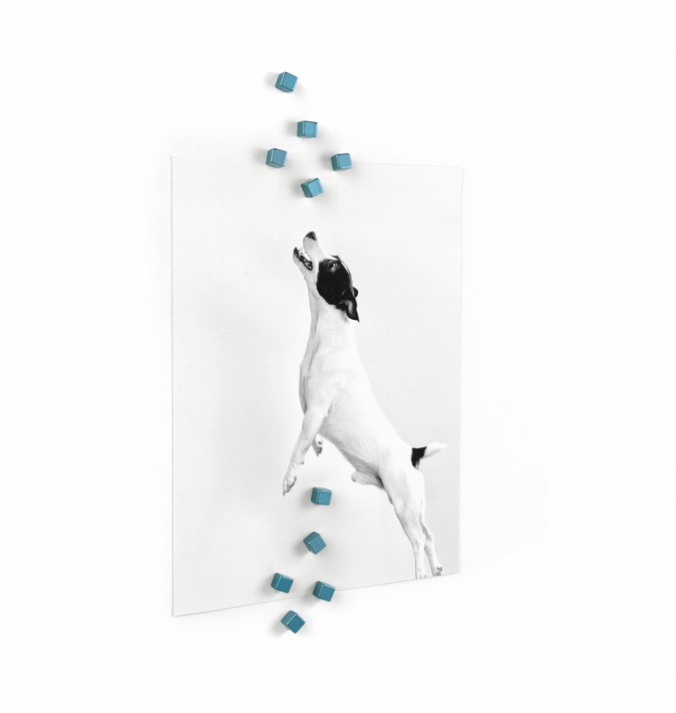 Trendform Magneten Kubiq - Set van 10