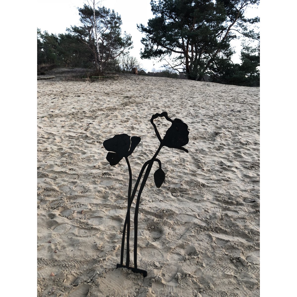 Poppy with flower bud | corten stem