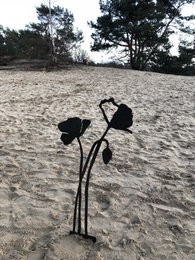 Coquelicot avec bouton floral | tige de corten