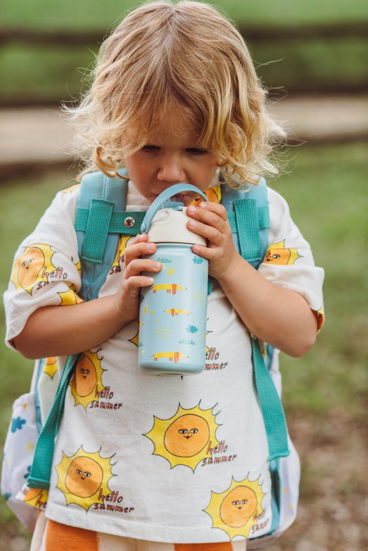 Insulated Stainless Steel Bottle Fruity