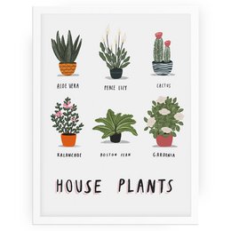 House plants print
