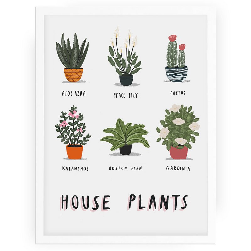 House plants print