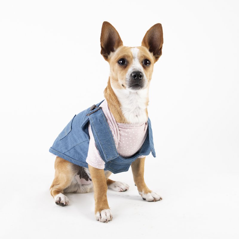Peto Vaquero Otto