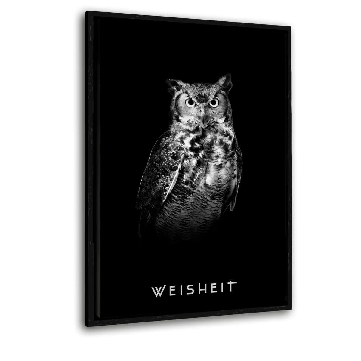 Wisdom - plexiglass picture