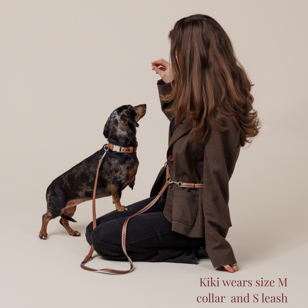 Dog Collar - Timeless Mocha
