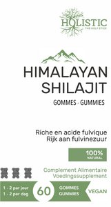 Shilajit of the Himalayas in the form of a gum