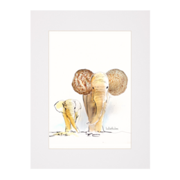 Muschel-Elefant - Art Prints