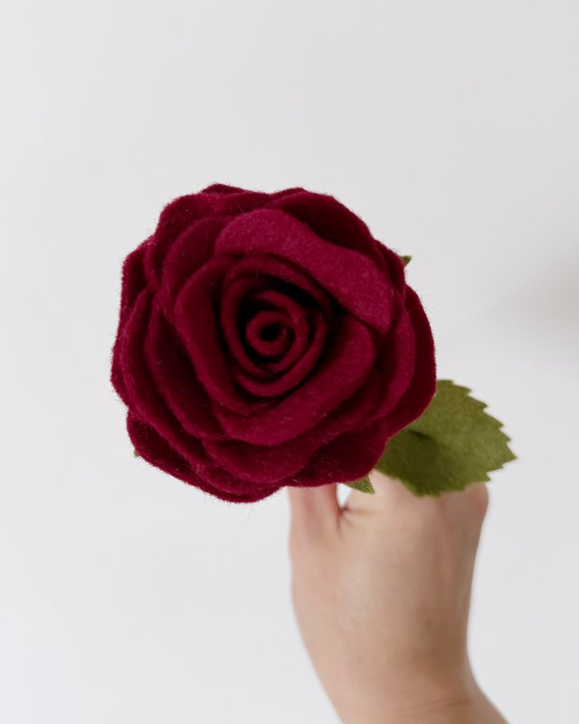Flor de la floración rosa rojo oscuro