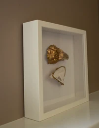 SeArt by Noa - østerskunst (helt hvid)