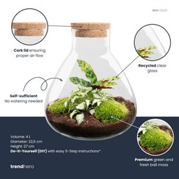 Terrarium DIY Kit - Sammie - Bottle Garden - ↑ 27 cm