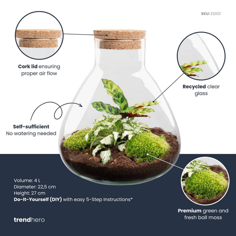 Terrarium DIY Kit - Sammie - Bottle Garden - ↑ 27 cm