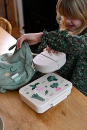 Tritan Bento Lunchbox for Kids Veggie Pals