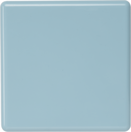 Collezione di coriandoli CK-Bloom6