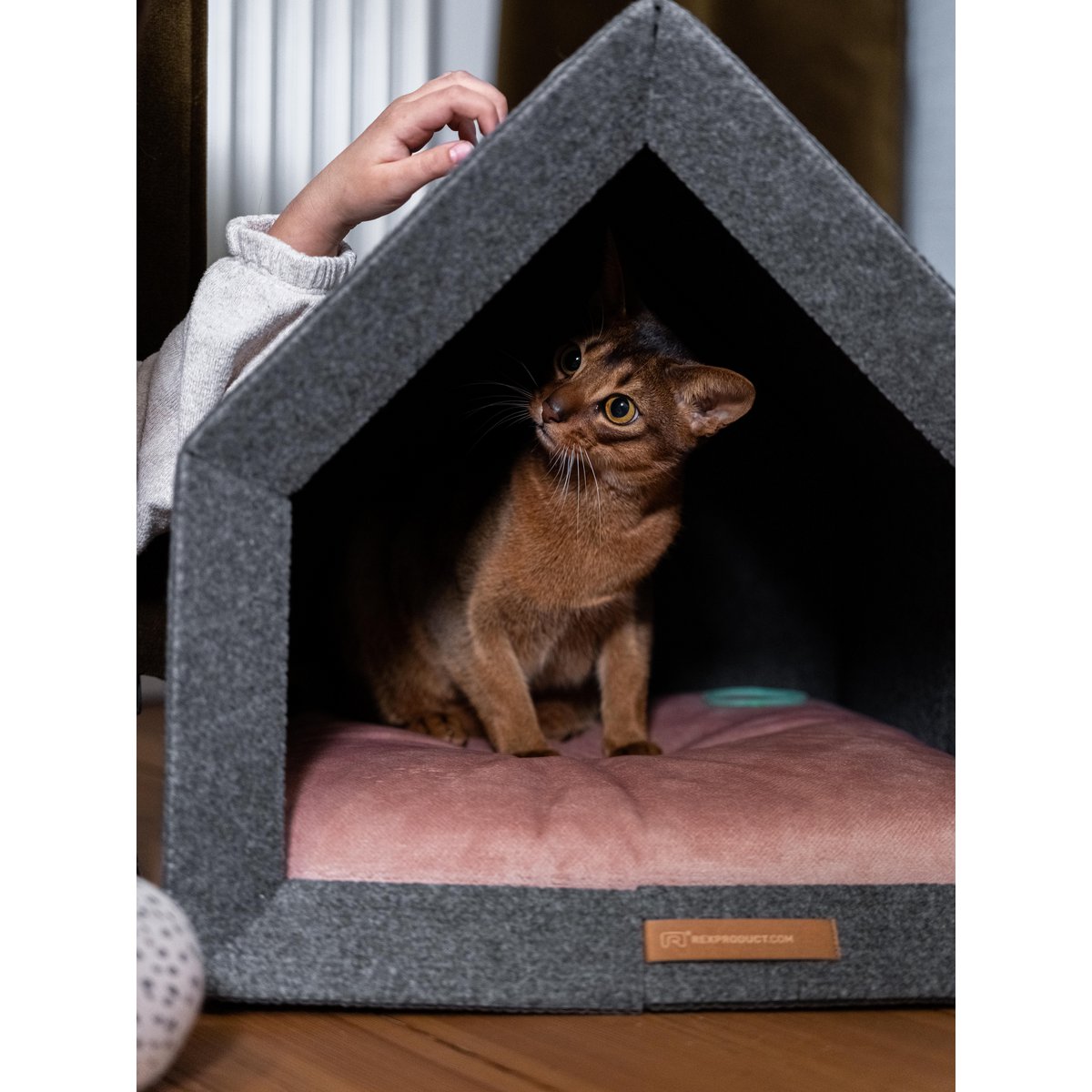 Pethome Perfektes Zuhause für einen Hund und eine Katze - dunkelgrau/recycelt