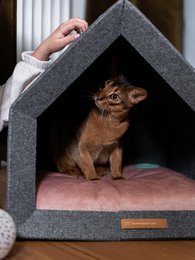 Pethome Perfekt hus til hund og kat - mørkegrå/genanvendt