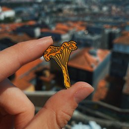 Enamel Pin "Chanterelle"