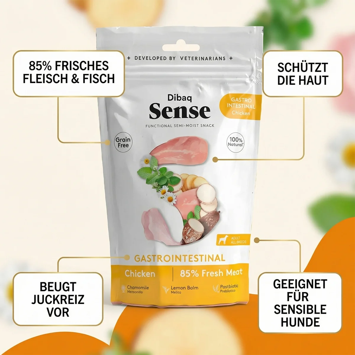 DIBAQ SENSE Gastro-intestinale Kip 100g