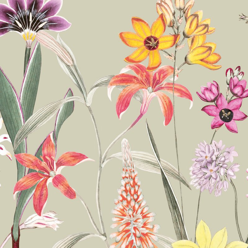Cenefa autoadhesiva "Jardín Botánico" multicolor/verde-beige