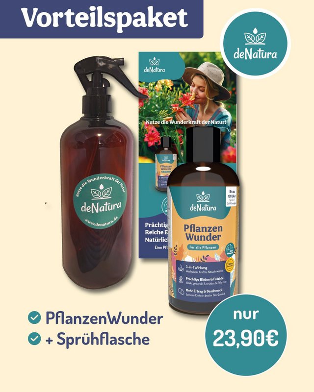 Plant Wonders – nu i en speciel pakke med sprayflaske!