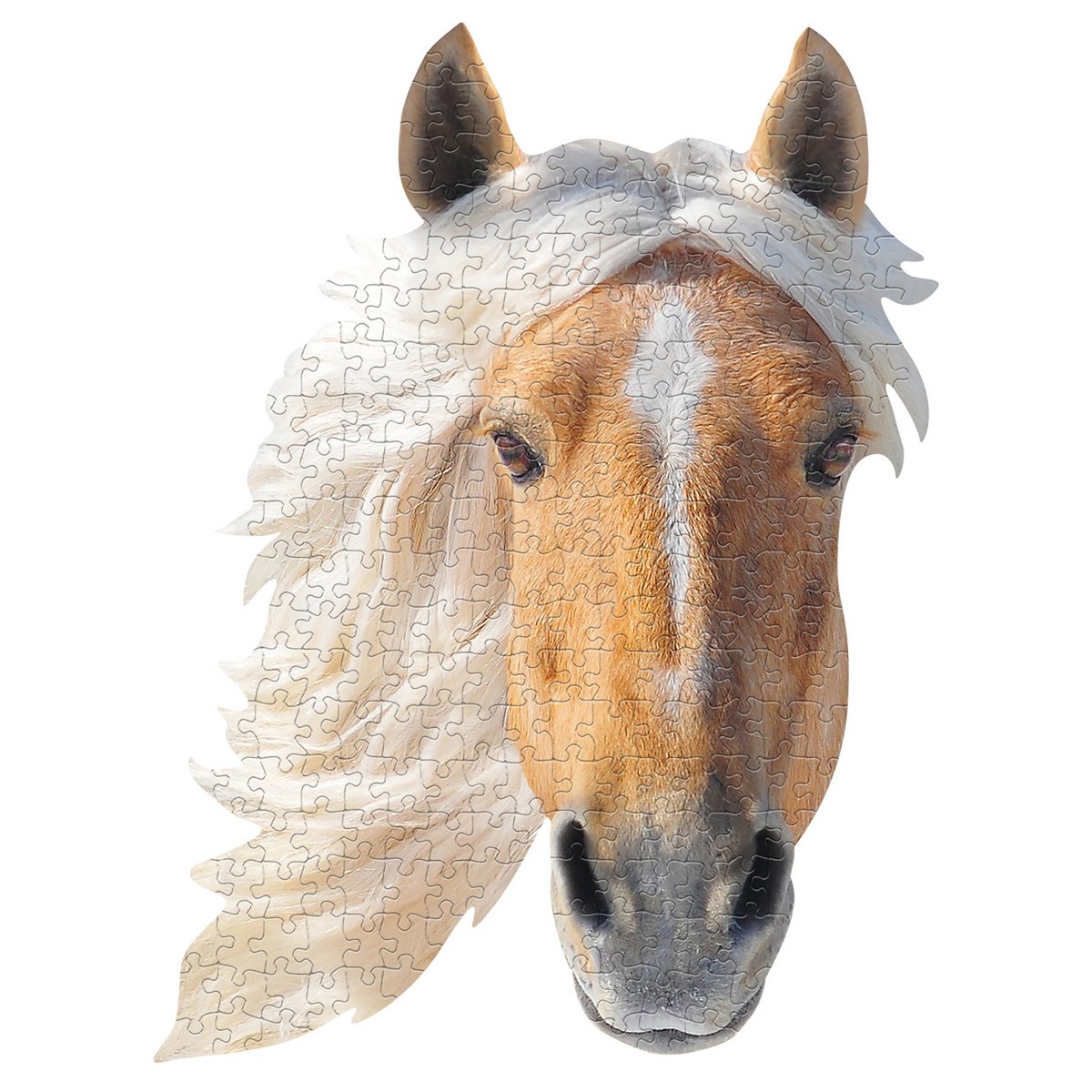 I Am Mini - Paard