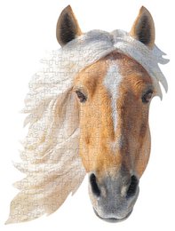 I Am Mini - Paard
