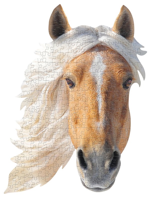 I Am Mini - Paard
