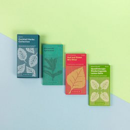 Piccolo Seeds