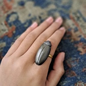 Verklaringsring | Papier-maché Kever Metallic | Zwart