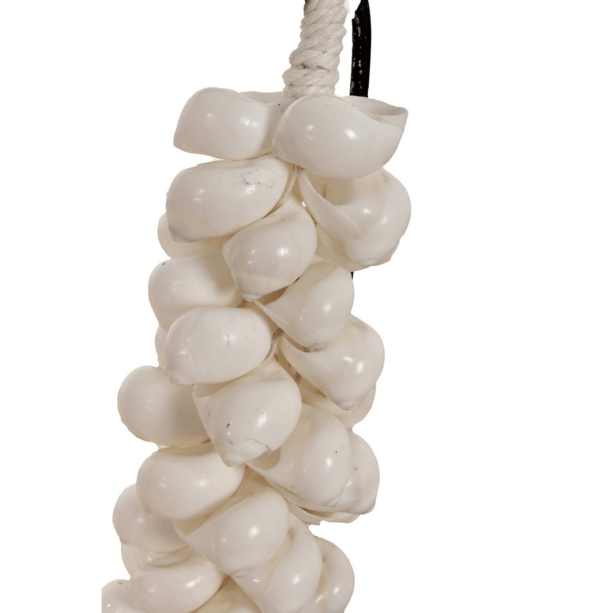 Collier Petit Coquillage J65 Sur Support