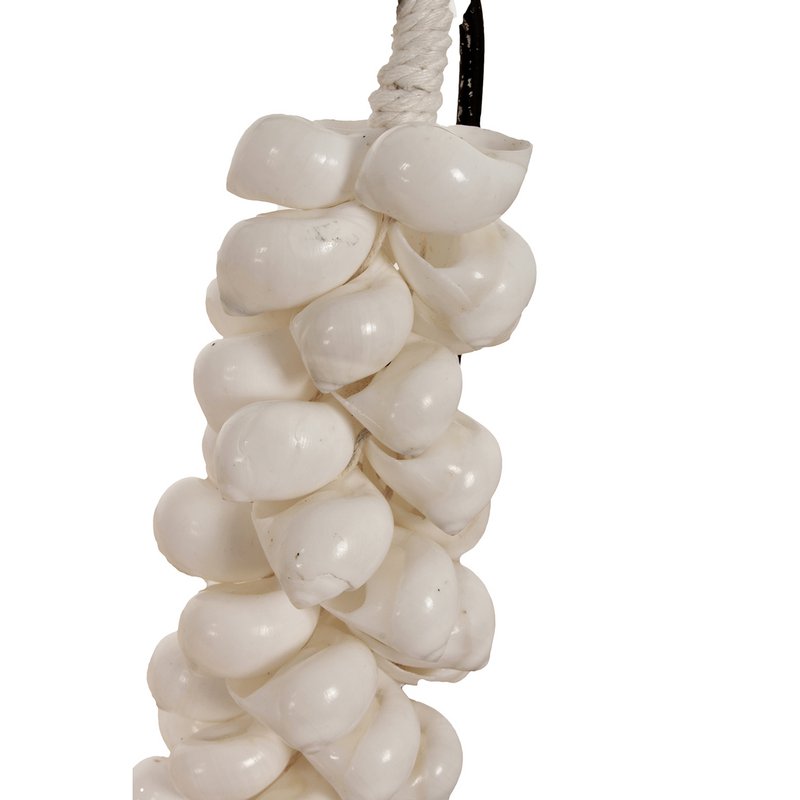 Collier Petit Coquillage J65 Sur Support