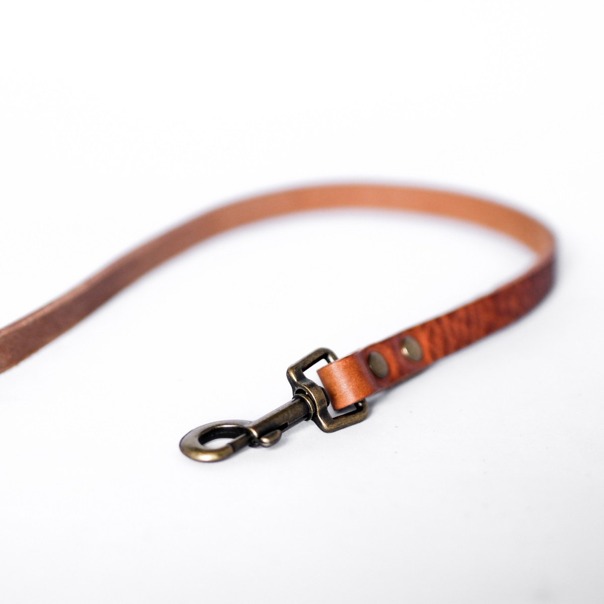 Ingen Fuss Dog Leash | Kamel