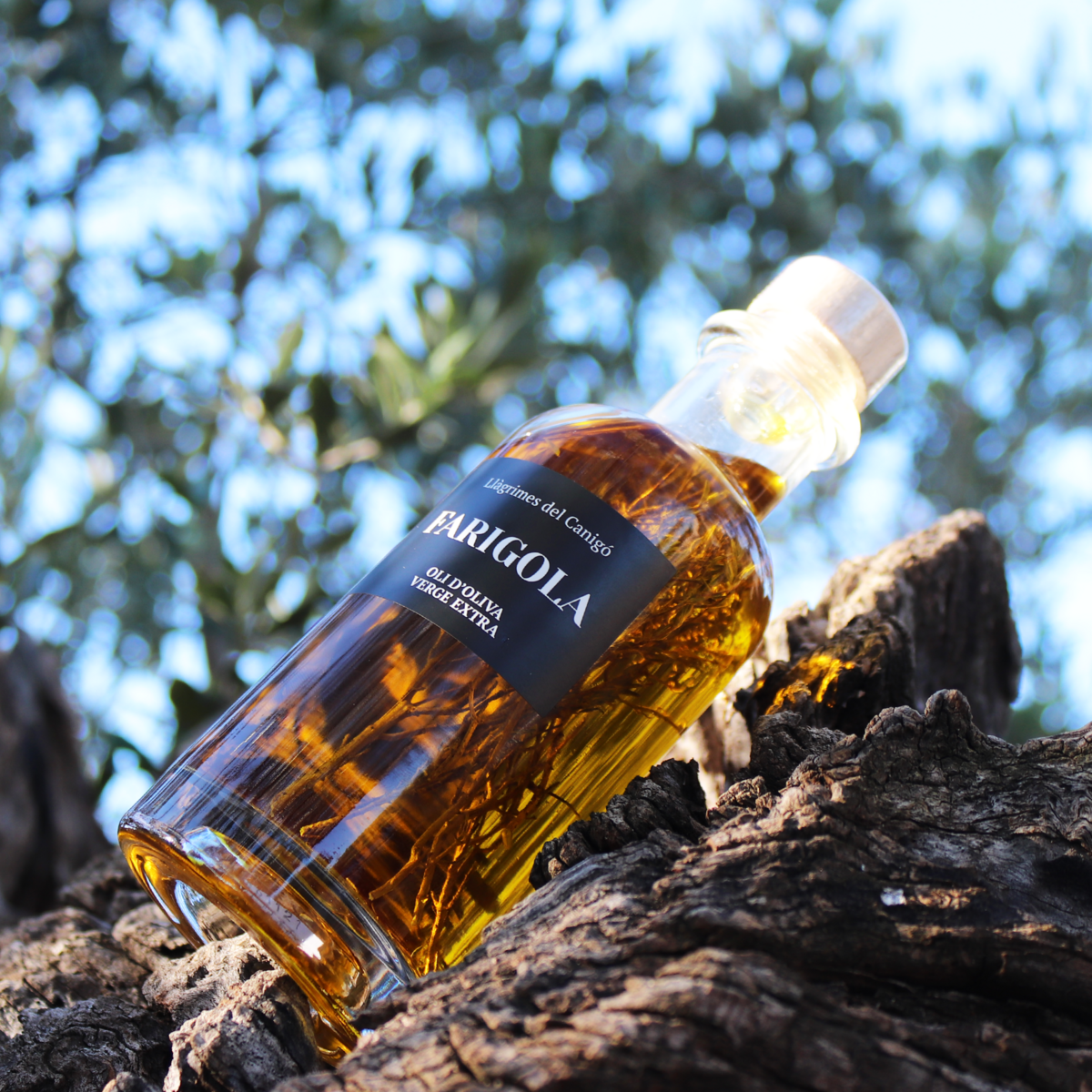 Olivenöl mit Thymian – 250 ml