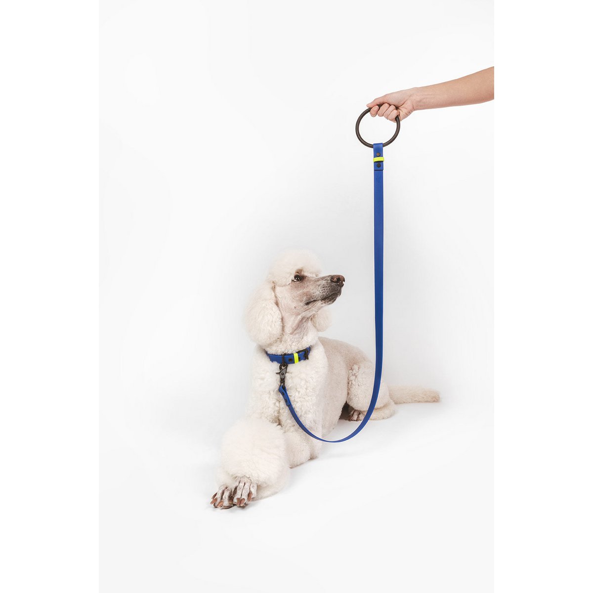Flotta L01
