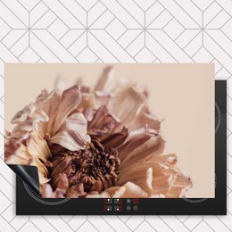 Induction protector - Dried chrysanthemum