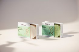 Shampoo Bar Mojito