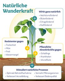 deNatura BodenWunder 500g – ammendante organico, biochar per giardino e balcone, terreno migliore, forte crescita delle piante e rese elevate