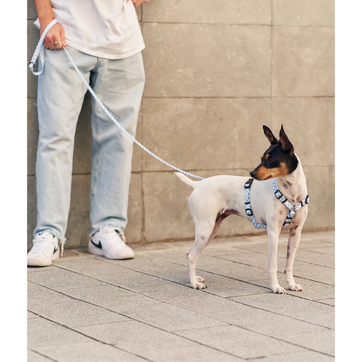 Geschirr aus recyceltem PET, blaues Vichy-Design, Juno