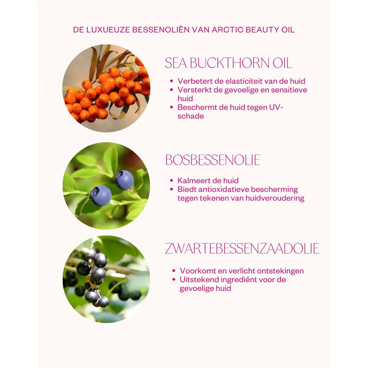 Arctic Beauty Oil - Gezichtsolie voor de droge huid