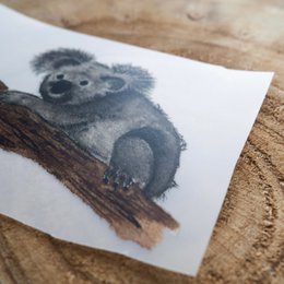 Iron-on picture »Koala«