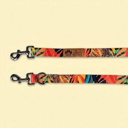 Tropical multi-position leash