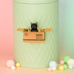 Handgemaakte Kattenmagneet Zwart in Kattenvoer Cadeaublikje