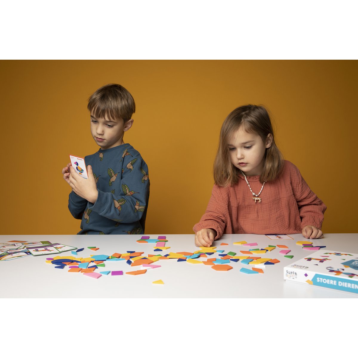 Tough Animal Patterns Puzzle