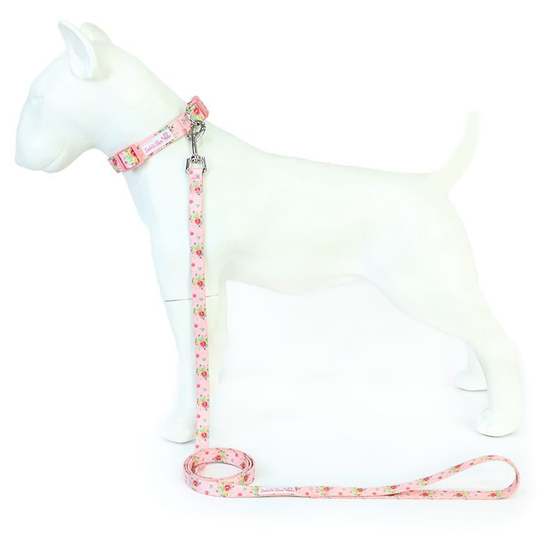 Pet leash Abby size M Isabelle Rose