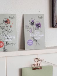 Bloemenzaden 'Fijne herinneringen zaaien'