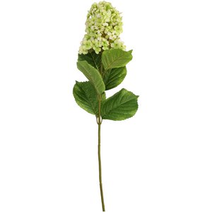 Panner Hydratation, L85cm, groen
